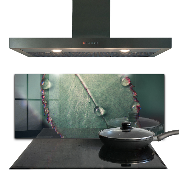Kitchen panel Leaf with a dew drop
