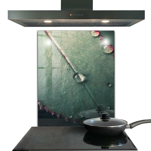 Kitchen panel Leaf with a dew drop