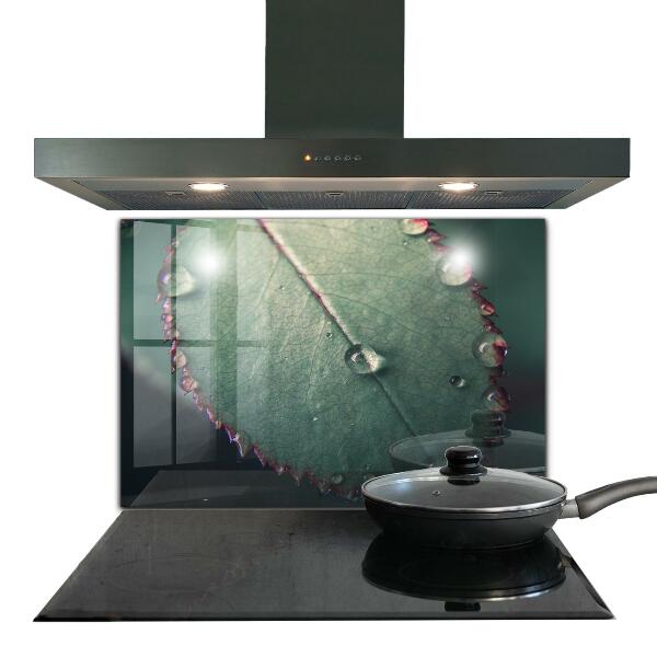 Kitchen panel Leaf with a dew drop