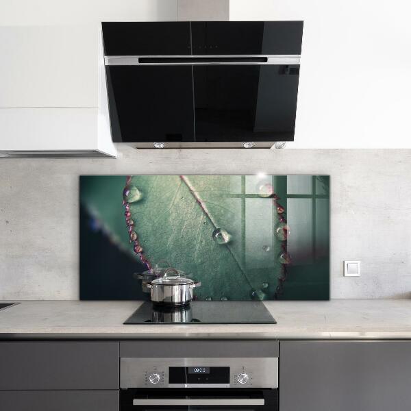Kitchen panel Leaf with a dew drop