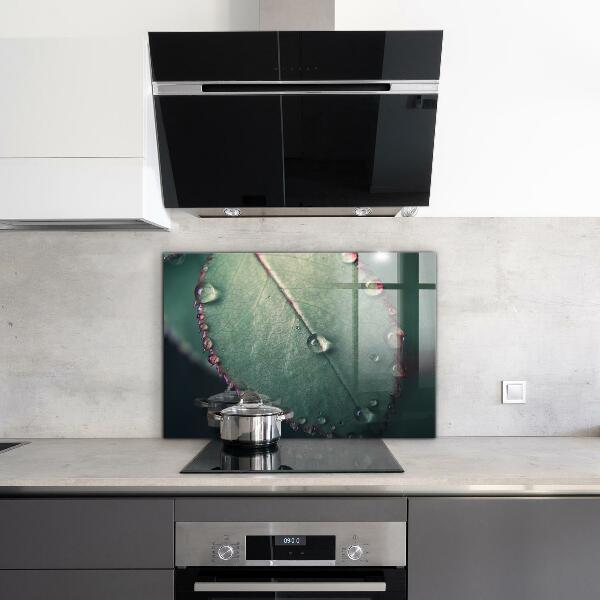 Kitchen panel Leaf with a dew drop