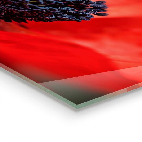 Kitchen panel Red poppy details
