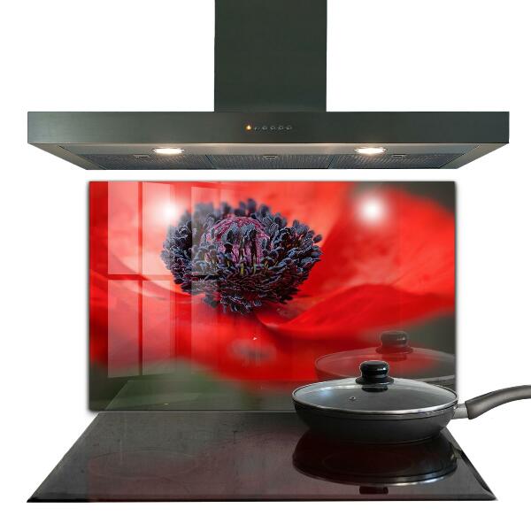 Kitchen panel Red poppy details