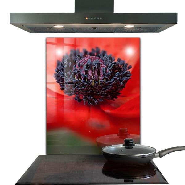 Kitchen panel Red poppy details