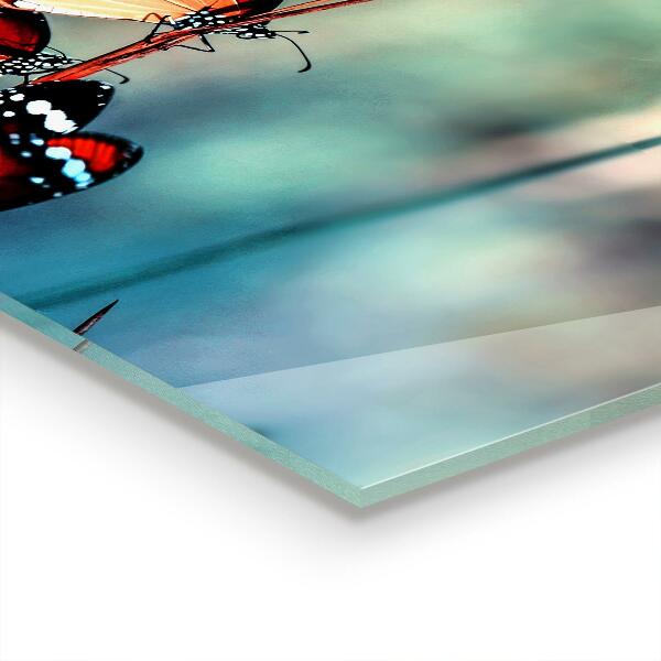 Kitchen wall panels Delicate butterfly in the wind