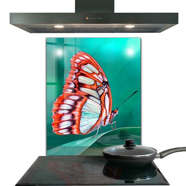 Kitchen wall panels Beautiful butterfly in nature