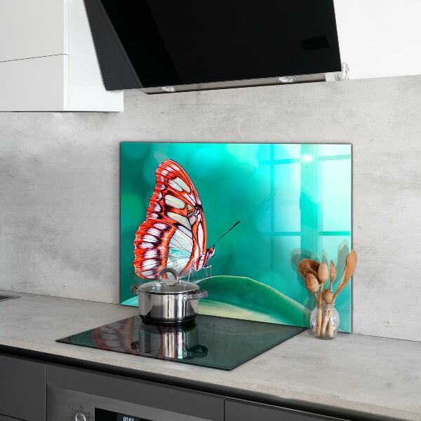 Kitchen wall panels Beautiful butterfly in nature
