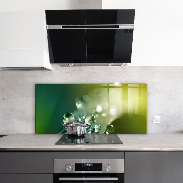 Kitchen panel Dew on green leaves