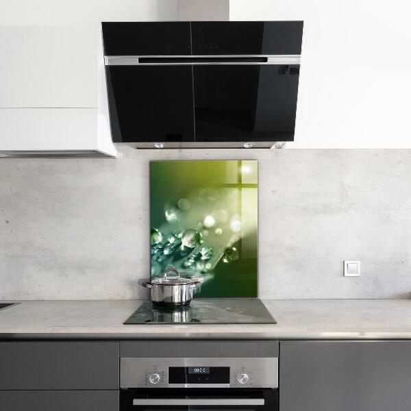 Kitchen panel Dew on green leaves