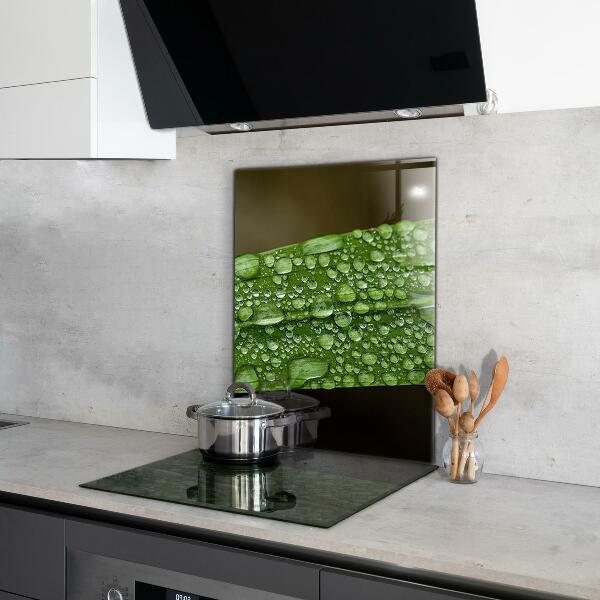 Kitchen panel Green leaf after rain