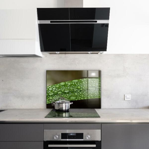 Kitchen panel Green leaf after rain