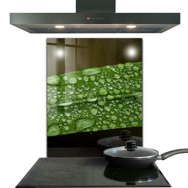 Kitchen panel Green leaf after rain