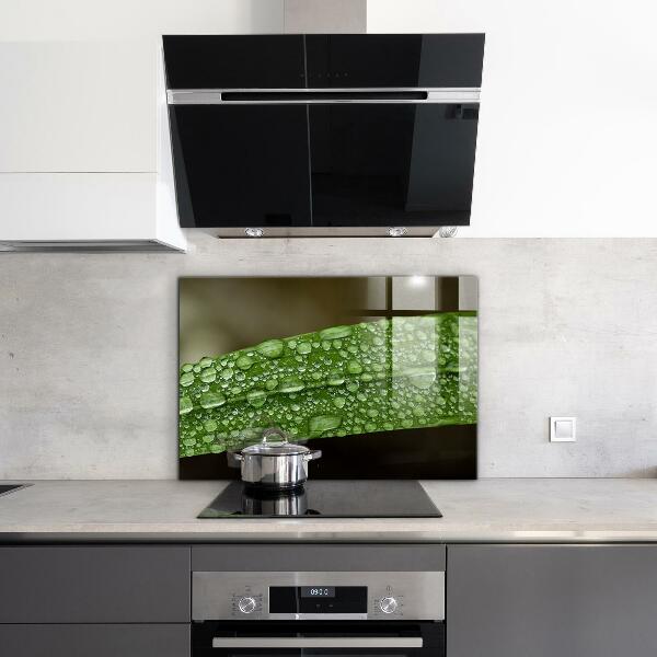 Kitchen panel Green leaf after rain