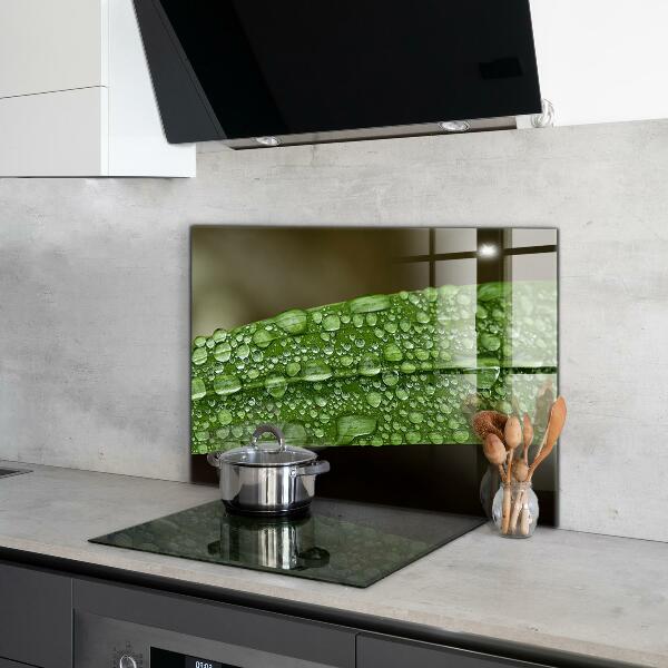 Kitchen panel Green leaf after rain