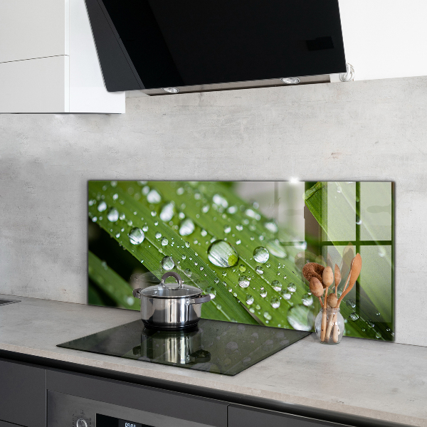 Kitchen panel Dew drops on the grass