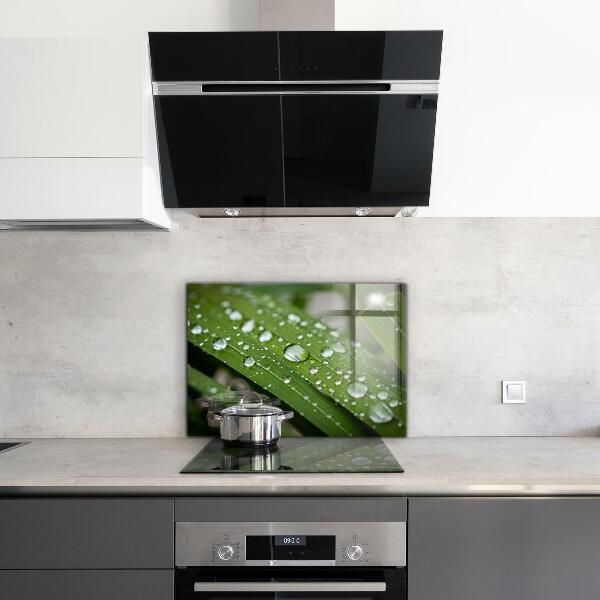 Kitchen panel Dew drops on the grass