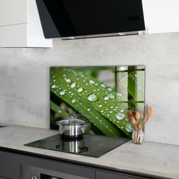 Kitchen panel Dew drops on the grass