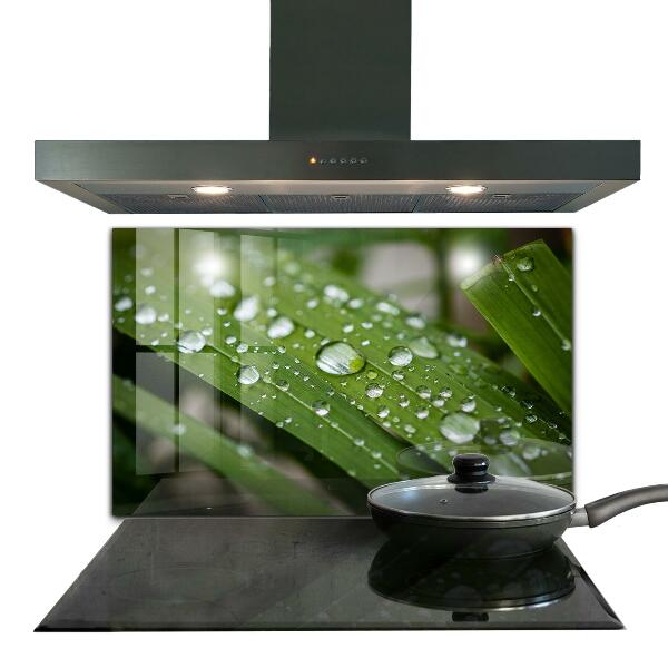 Kitchen panel Dew drops on the grass