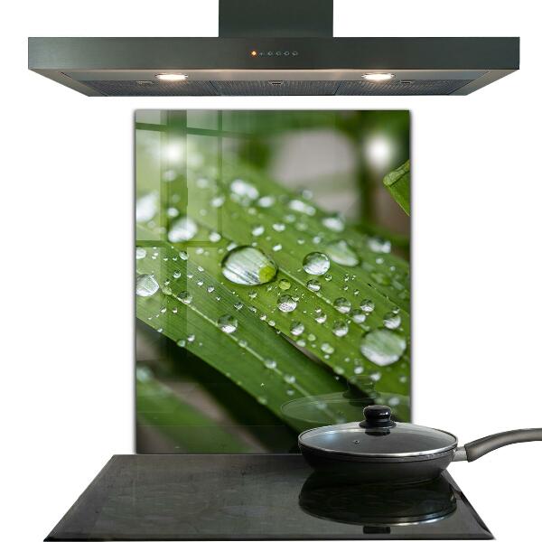 Kitchen panel Dew drops on the grass