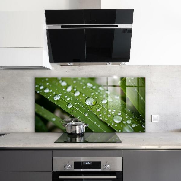 Kitchen panel Dew drops on the grass