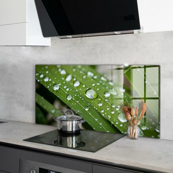 Kitchen panel Dew drops on the grass