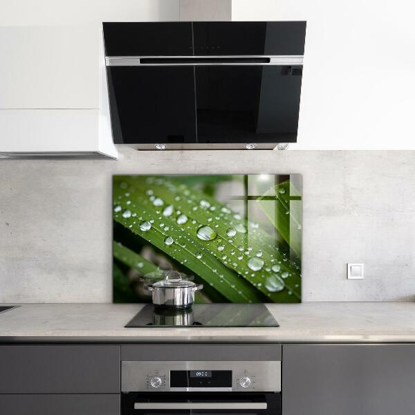 Kitchen panel Dew drops on the grass