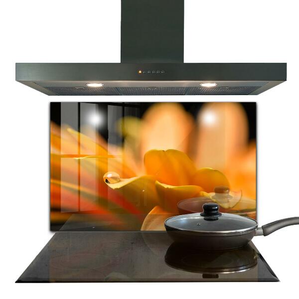 Kitchen panel Gerber flower