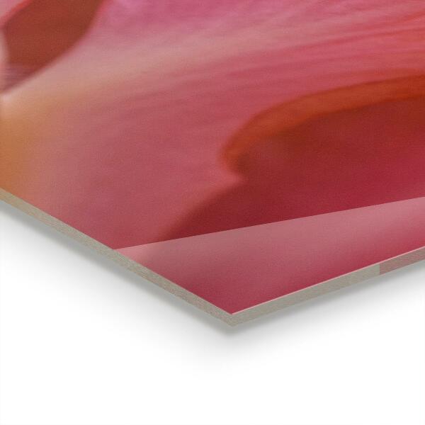 Kitchen panel Flower pollen nature