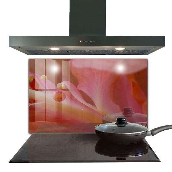 Kitchen panel Flower pollen nature