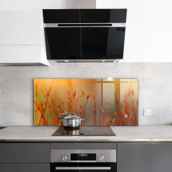 Kitchen splashback Grain field at sunset