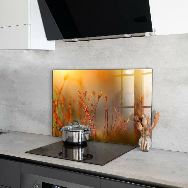 Kitchen splashback Grain field at sunset