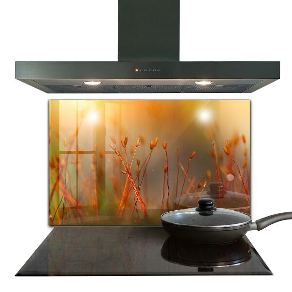 Kitchen splashback Grain field at sunset