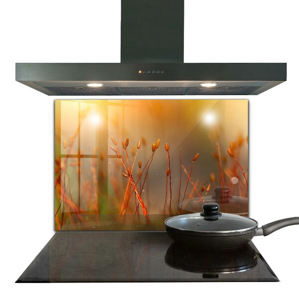 Kitchen splashback Grain field at sunset