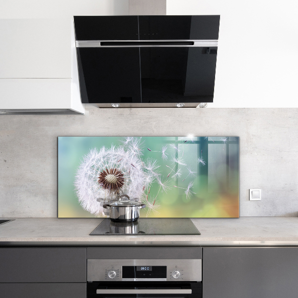 Kitchen splashback Dandelion dandelion in the wind