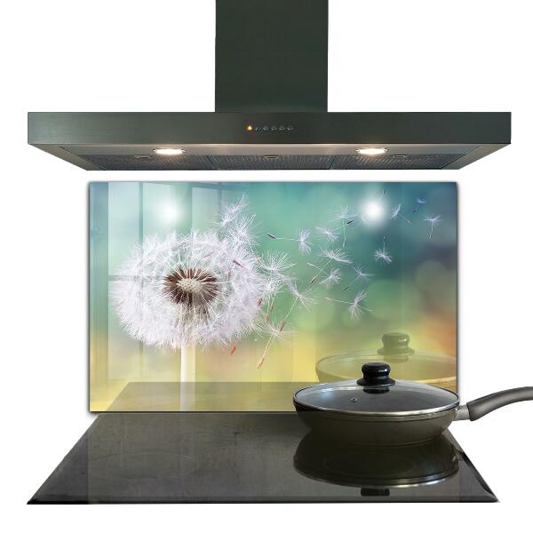 Kitchen splashback Dandelion dandelion in the wind