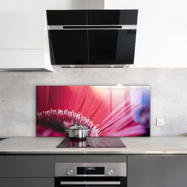 Kitchen splashback Pink flower nature details