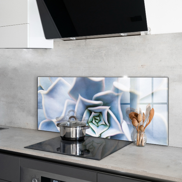 Kitchen splashback Cactus succulent