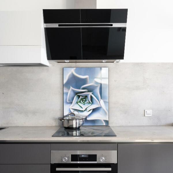 Kitchen splashback Cactus succulent