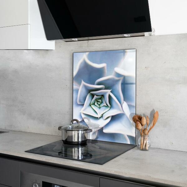 Kitchen splashback Cactus succulent