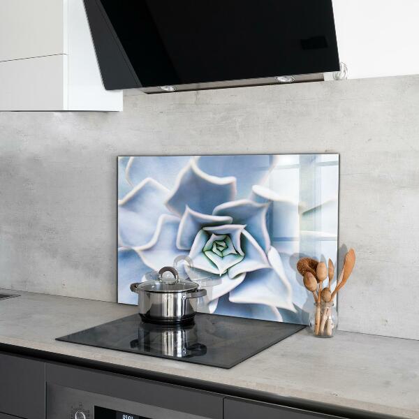 Kitchen splashback Cactus succulent