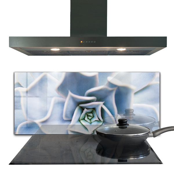 Kitchen splashback Cactus succulent