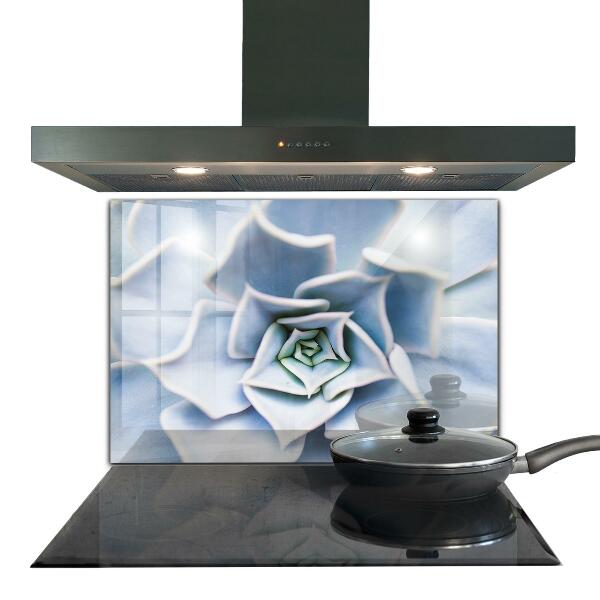 Kitchen splashback Cactus succulent