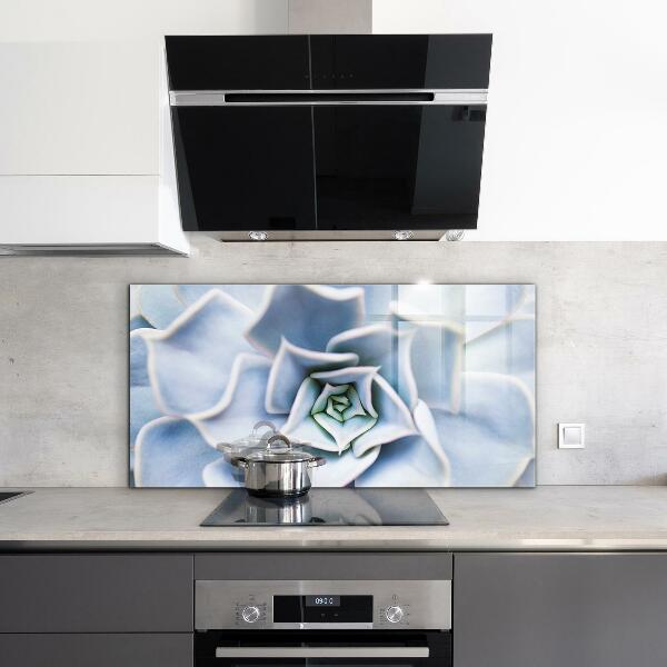 Kitchen splashback Cactus succulent