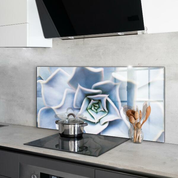 Kitchen splashback Cactus succulent