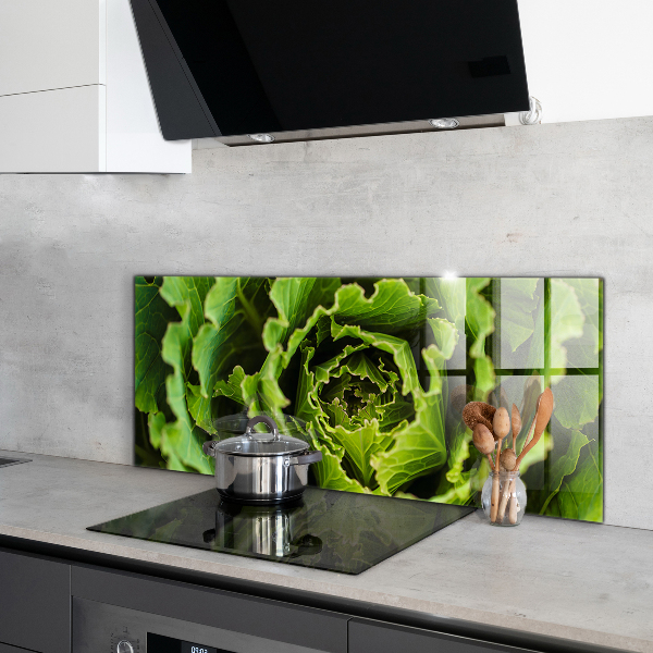 Splashback for kitchen walls Cabbage flower leaves