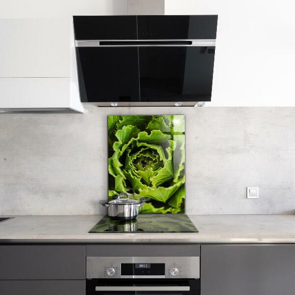 Splashback for kitchen walls Cabbage flower leaves
