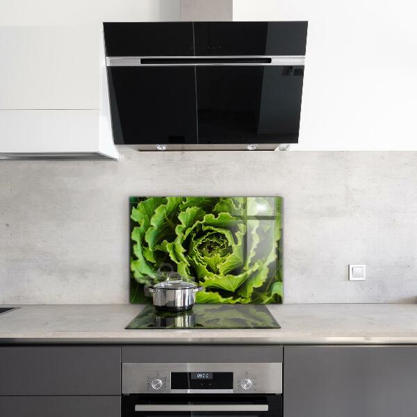 Splashback for kitchen walls Cabbage flower leaves