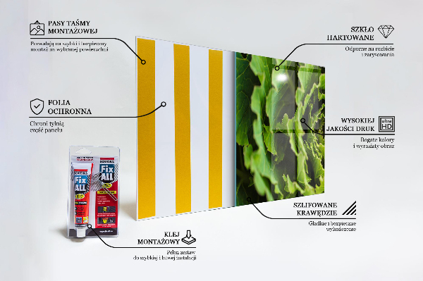 Splashback for kitchen walls Cabbage flower leaves