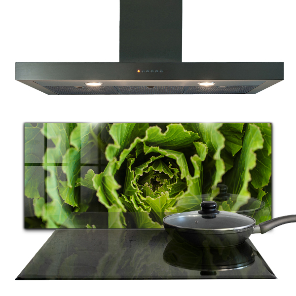 Splashback for kitchen walls Cabbage flower leaves