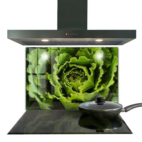 Splashback for kitchen walls Cabbage flower leaves